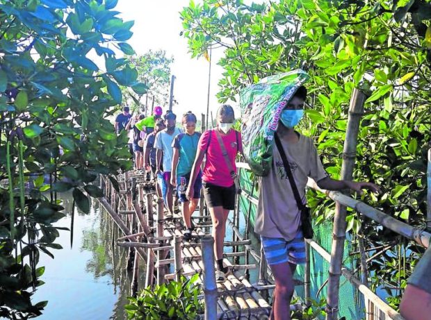 Students behind Pangasinan mangrove project
