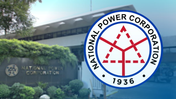 Napocor warns: Budget cuts may lead to power outages, closure of 278 power plants