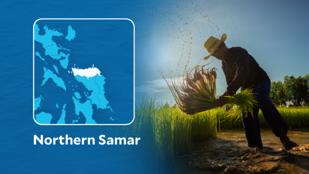 Farmers in Northern Samar receive cash assistance through the Rice Tariffication Law