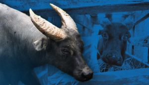 Featured article middle 5