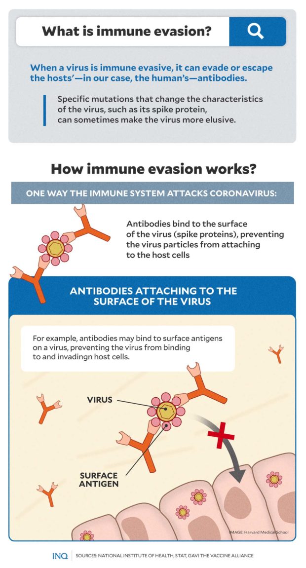 What is immune evasion