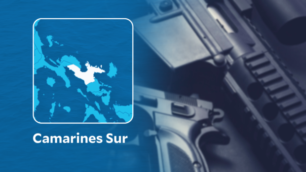 Gov’t forces recover arms cache in Camarines Sur