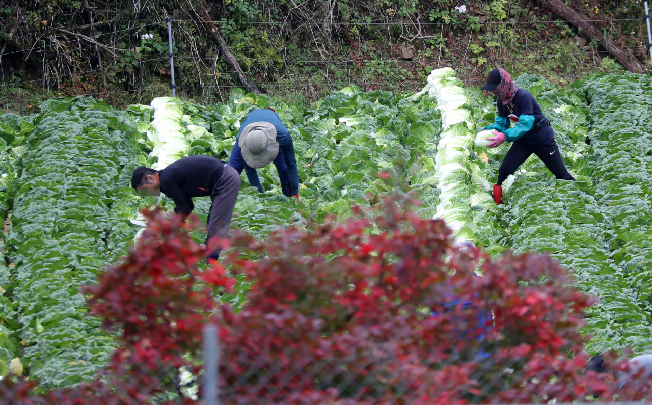 south-korea-restriction-on-foreign-workers-to-be-eased-to-resolve