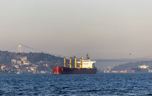 Zante, a cargo vessel carrying Ukrainian grain, transits Bosphorus, in Istanbul, Turkey November 2, 2022. REUTERS/Umit Bektas