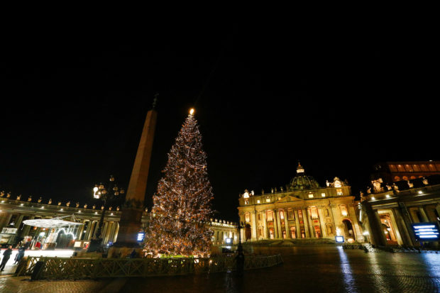 A Christmas tree for the Vatican this Christmas