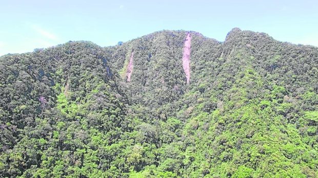 SCARRED This aerial shot of the summit of Mt. Arayat on Nov. 10 shows two gashes left by landslides that struck the Pampanga mountain’s protected area. —MGB AND PAMPANGA PDRRMO PHOTO