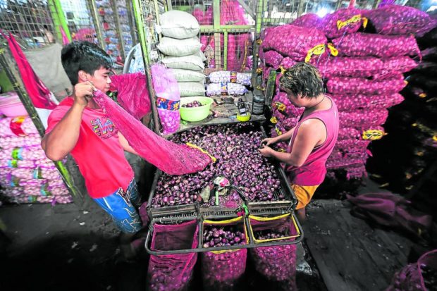 endors sort red onions at Balintawak public market in Quezon City in this Nov. 17 photo. Red onions, mostly harvested from Nueva Ecija, now sell for P300 a kilo. —GRIG C. MONTEGRANDE