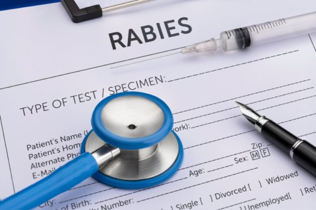 Rabies form. STORY: House probe of failed anti-rabies project urged