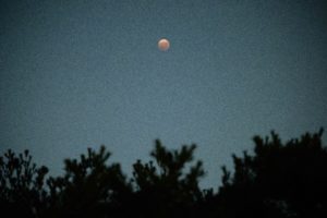 Featured article middle 8