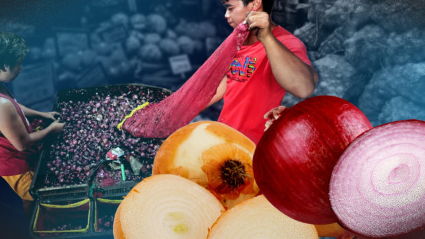 P300/kg Red Onions: Issues Beyond Just Supply | Inquirer News