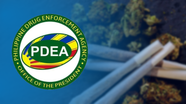 Stock photo of marijuana with PDEA logo superimposed. STORY: PDEA: Some tipsters prefer drugs as reward, not money
