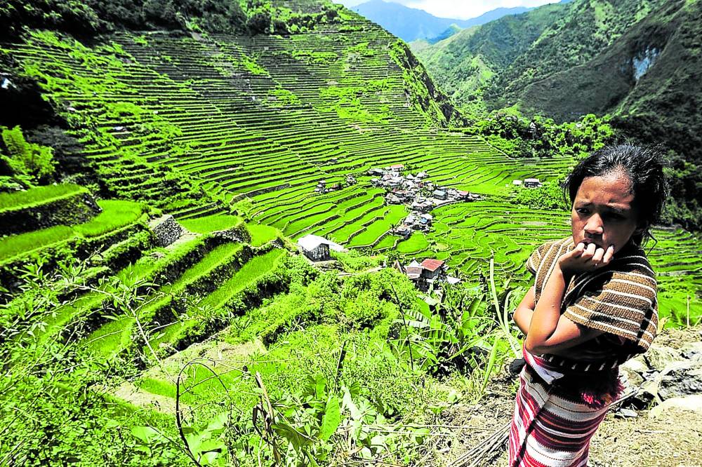 Ifugao Rice Terraces land on another ‘protection’ list | Inquirer News