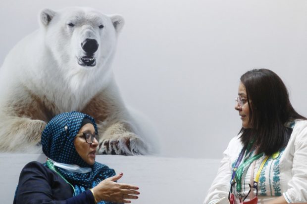 UN Biodiversity Conference - COP15