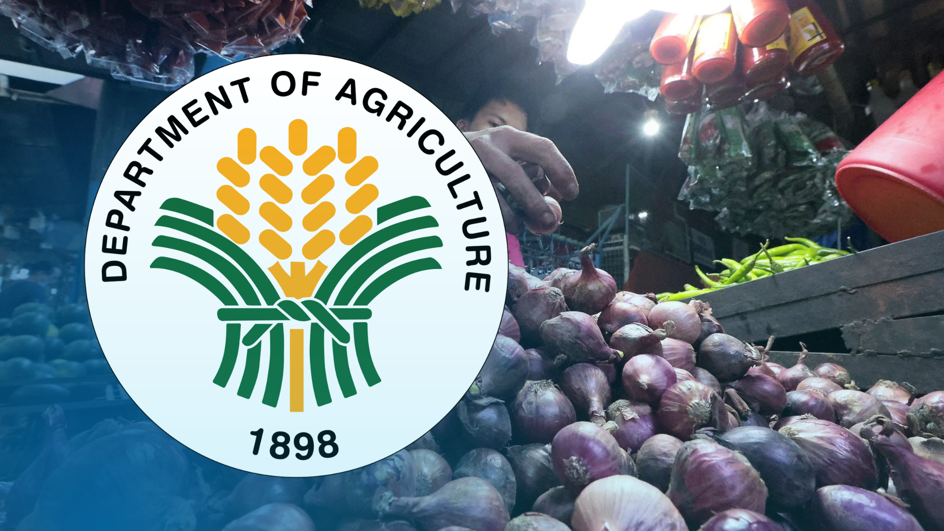 The Department of Agriculture (DA) on Thursday issued an order setting the price of red onion in Metro Manila wet markets at P250 per kilogram (kg) until the first week of January, amid the skyrocketing prices of the agricultural commodity in local stores.