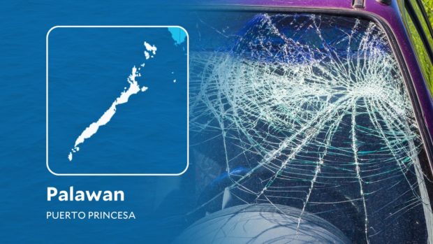Two men die in separate road mishaps in Palawan
