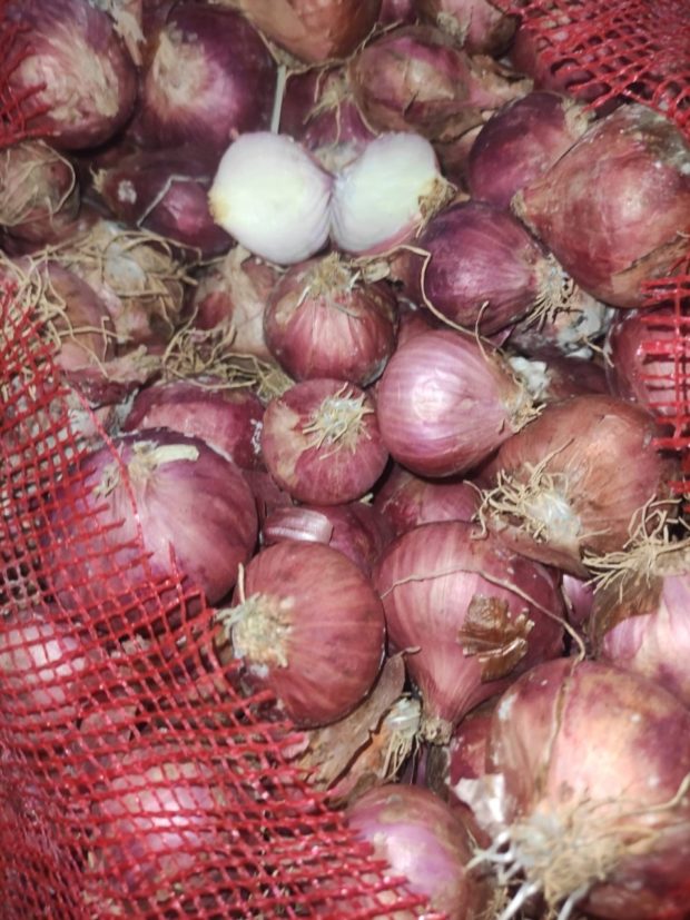 Over P139.7-million worth of smuggled agricultural products — including red and white onions again — were seized in another wave of inspections done by the Bureau of Customs (BOC) from December 27 to 29. price srp da