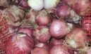 'Smuggled' onions being sold online, says bureau of plant official