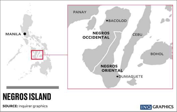 Plans to create the Negros Island Region will be tackled in the Senate to make sure it ends up benefitting the economy