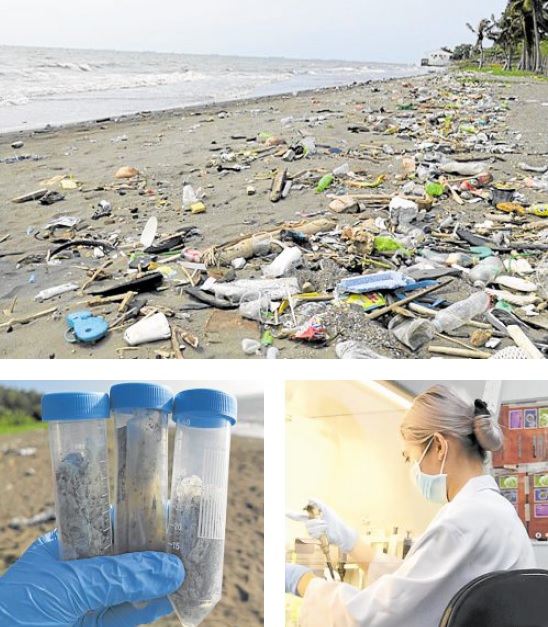 ‘MICROBIAL COMMUNITIES’ A teamof researchers fromthe University of the Philippines Marine Science Institute collects sediment samples at the heavily polluted Manila Bay (top photo) to study howmicrobes and other bacterial species could be harnessed to break down plastic waste.