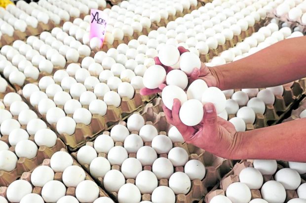 Stock photo of eggs on trays. STORY: Next food concern: DA sets price watch on eggs
