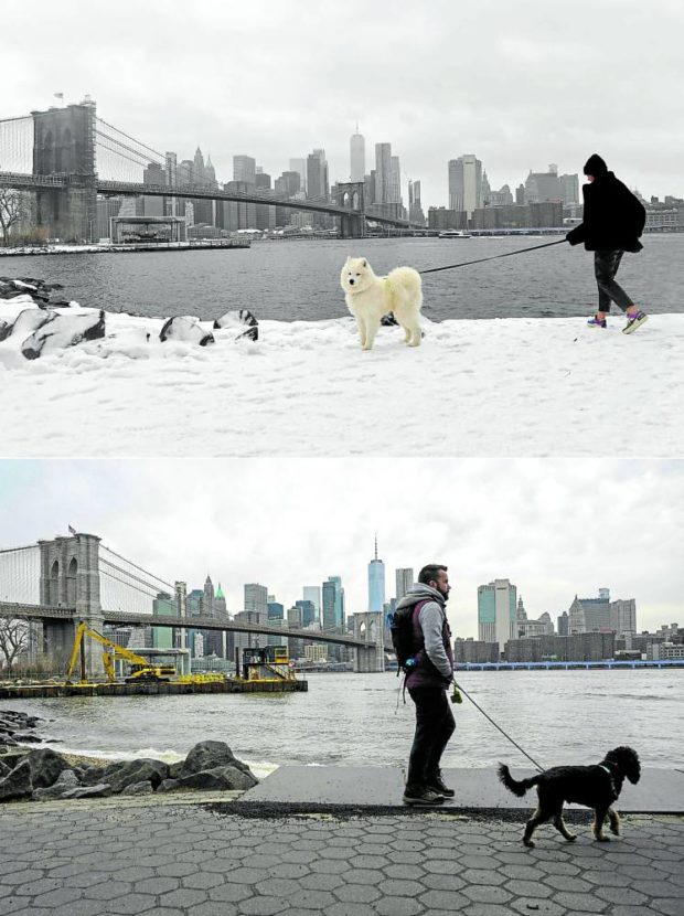 Combination of pictures of Brooklyn Bridge amid the skyline of lower Manhattan with people walking their dogs. STORY: Snowless winter has New Yorkers puzzled