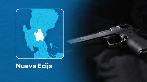 Another village chief in Luzon gunned down