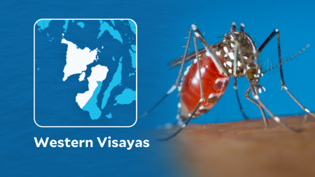 DOH: 53 cases of dengue recorded in Western Visayas