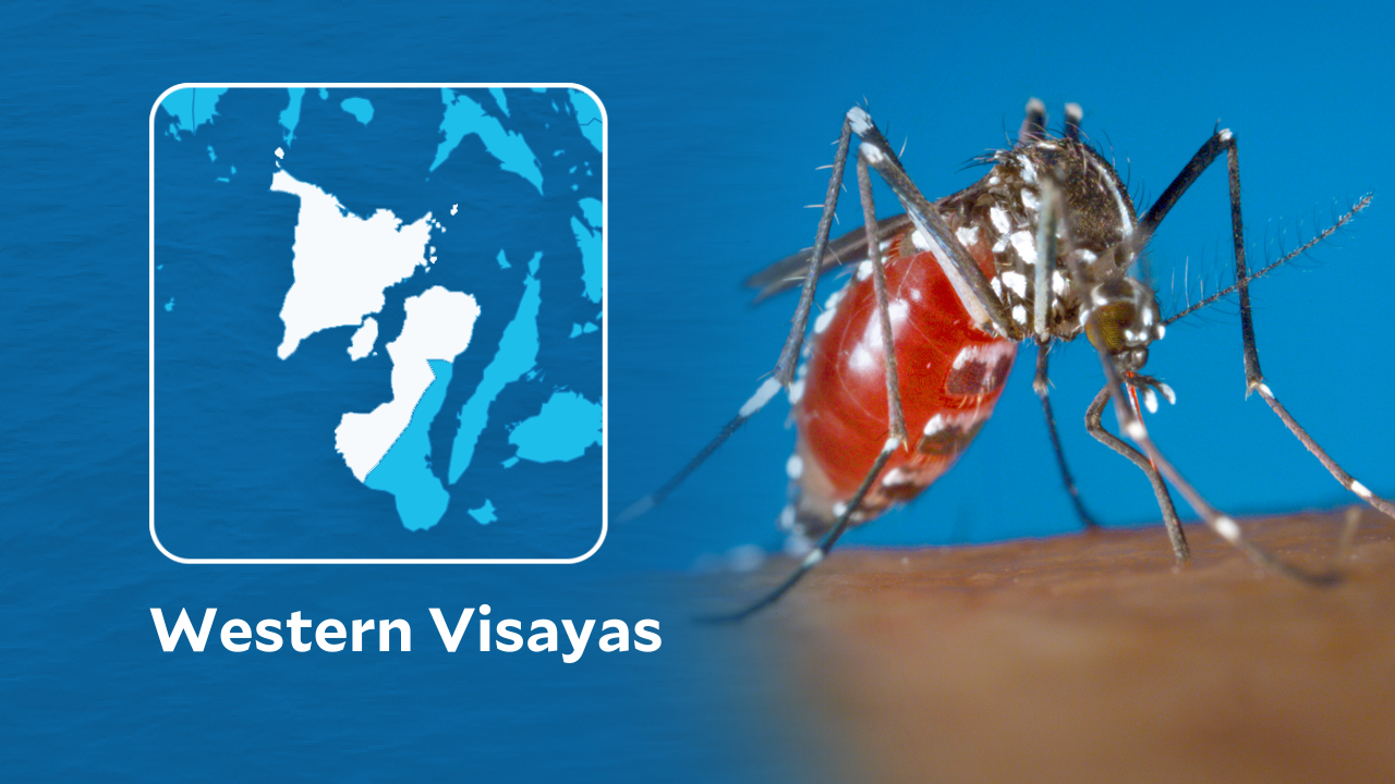 dengue western visayas