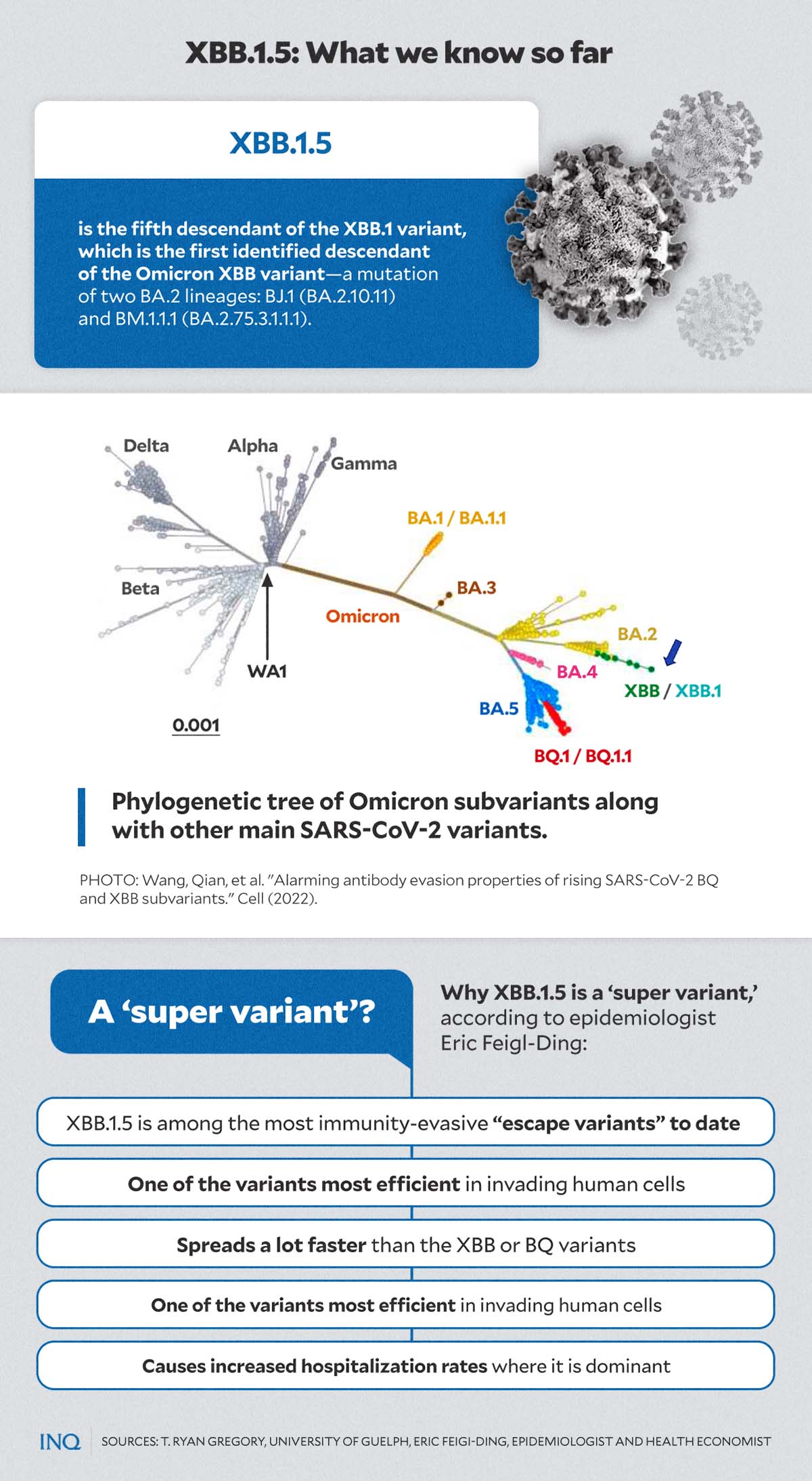 Meet XBB.1.5, the new COVID subvariant that defies immunity, infects