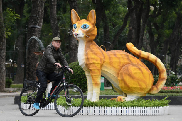 Year of the Cat - Vietnam