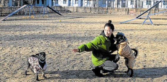 A pet hotel employee plays with her wards inBeijing on Jan. 20