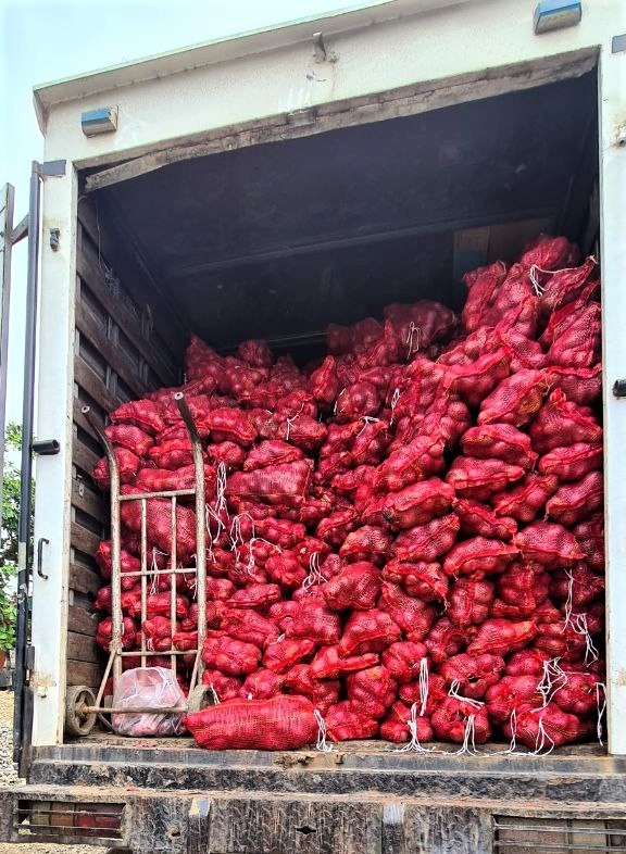 44,000 kilos of smuggled red onions seized in Zamboanga City