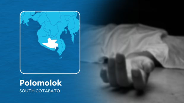 Unidentified gunmen riding in tandem on a motorbike shot and seriously injured a former town councilor of Polomolok, South Cotabato while he was on his way to the municipal hall at about noon on Friday.