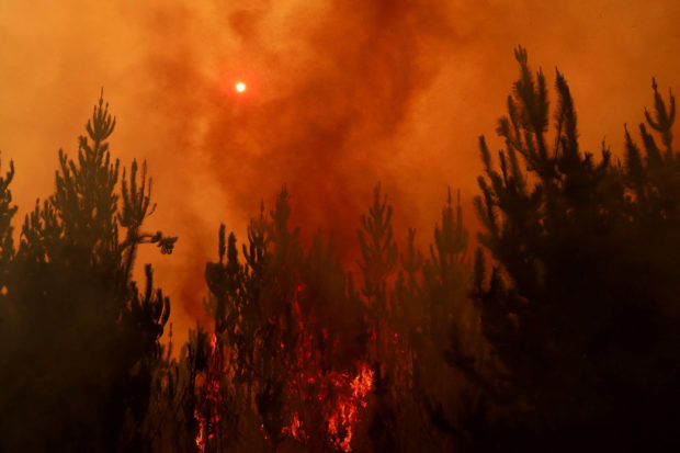 Chile forest fire