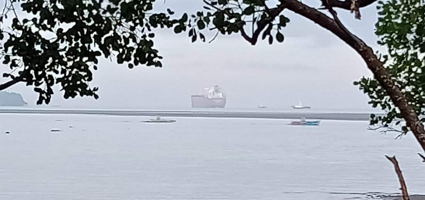 The provincial government has committed to help fishermen in Masinloc town who have been seeking compensation from a Hong Kong-based cargo ship that reportedly destroyed their "payao," or fish aggregating device, recently.