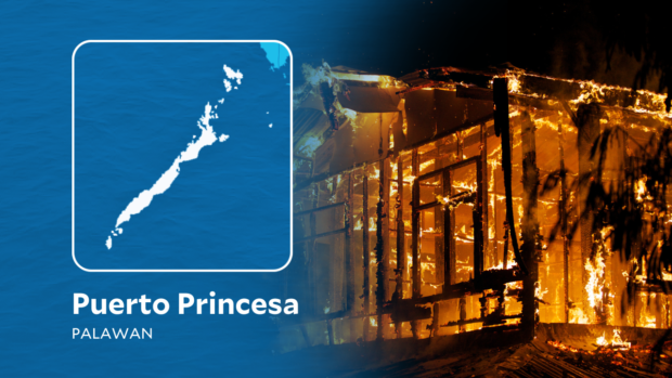 Fire razes 20 houses in Puerto Princesa City