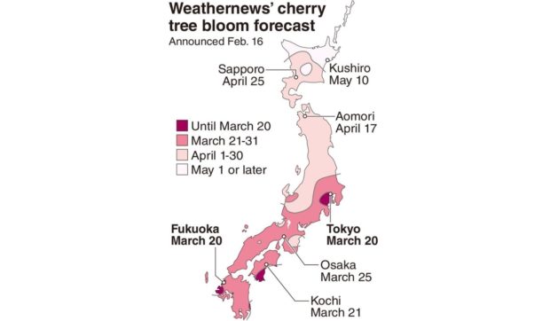 Sakura Japan sked