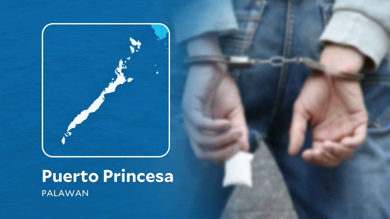 Alleged drug pusher busted in Puerto Princesa City