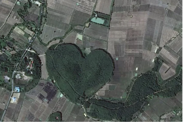heart-shaped forest in Thailand’s Chiang Rai