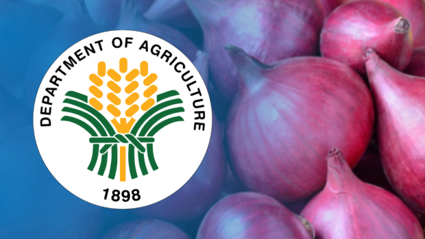 An Onion Expansion Program, seen as a strategic response to high commodity prices, was launched in Mindanao, the Department of Agriculture (DA) said on Saturday.