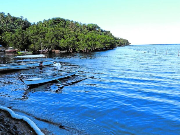 There will be no widespread shortage of fish as a result of the massive oil spill in Oriental Mindoro, said an official from the Department of Agriculture-Bureau of Fisheries and Aquatic Resources (DA-BFAR) on Thursday.