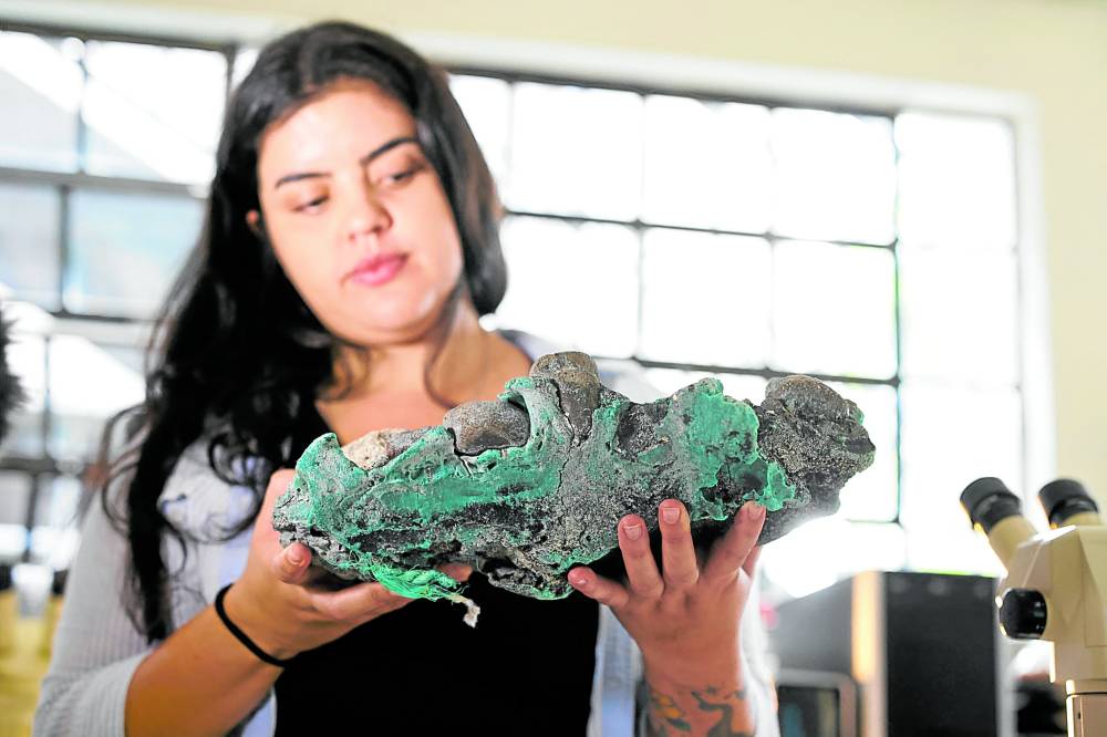 A researcher holds “plastic rocks” found on Trindade Island in the state of Espirito Santo, Brazil, at the lab of the Federal University of Parana on March 7.