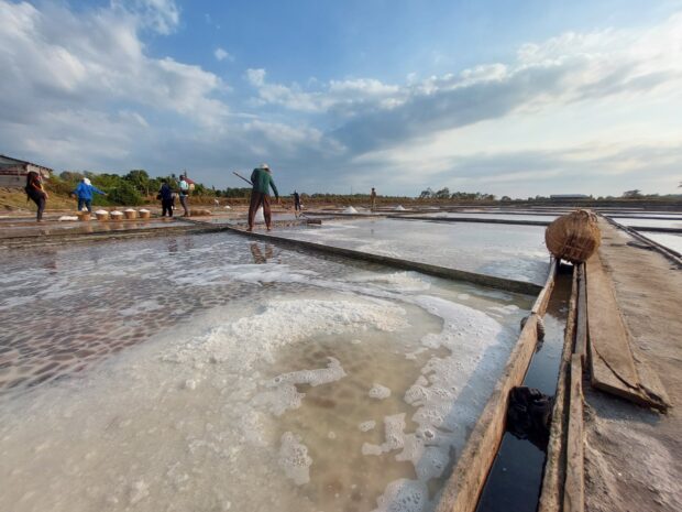 Salt farmers harvesting the mineral in Dasol, Pangasinan on Thursday, March 9, 2023. 
