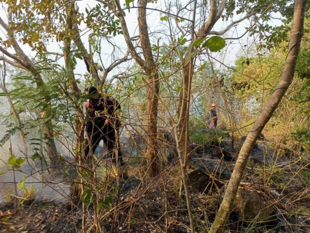 A firefighter tries to extinguish the blaze that hits the mountains in Solsona town, Ilocos Norte province on Thursday, March 16. (Contributed photo)