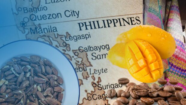 Partial map of the Philippines with various products superimposed. STORY: 31 heritage products to get intellectual property rights protection