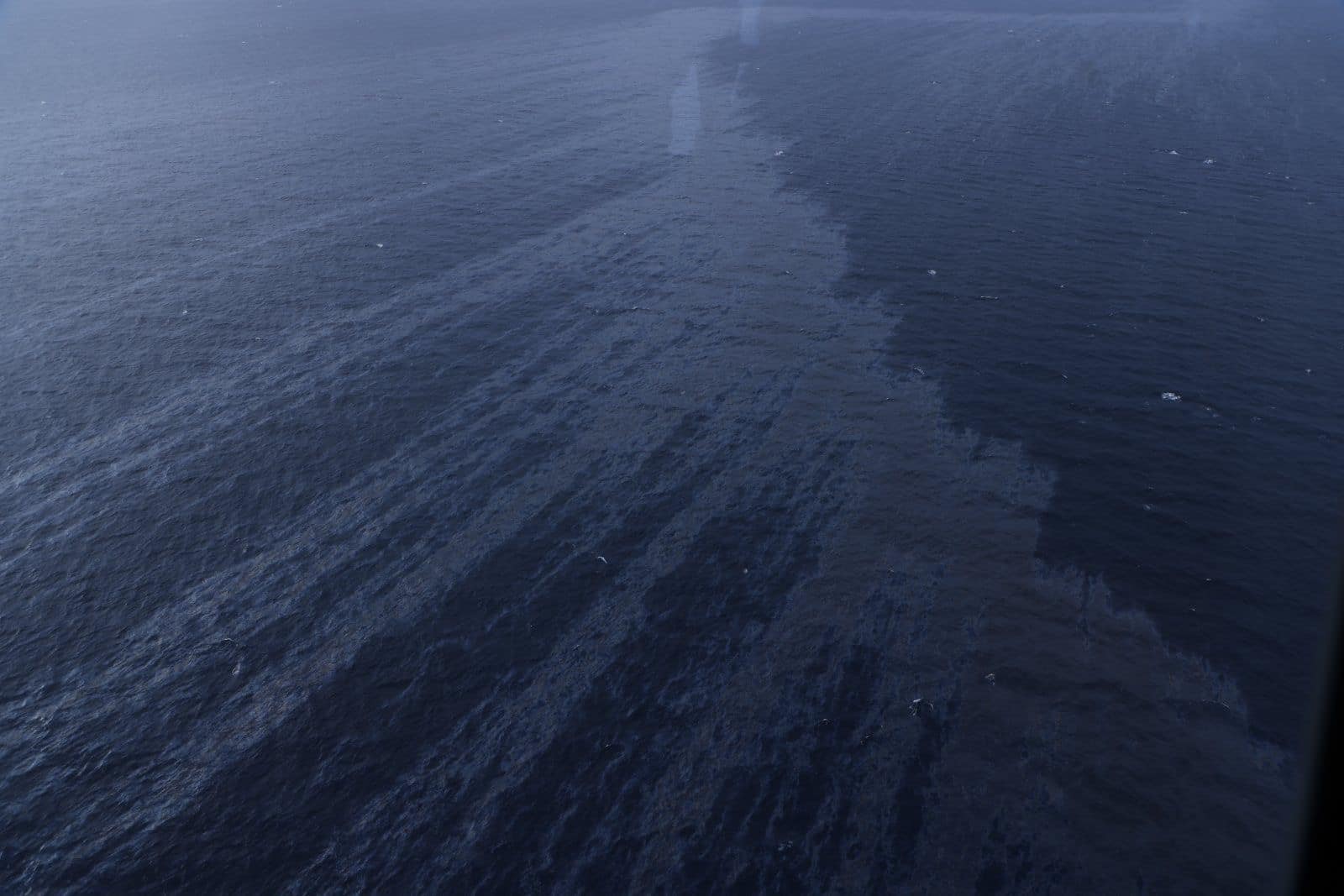 Oil spill threatens coral reefs, mangroves, seaweeds in Mindoro; may reach Palawan Inquirer News