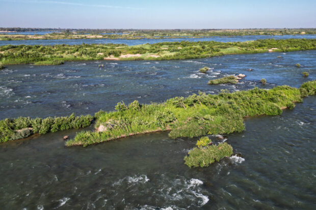 Cambodia's river dolphins