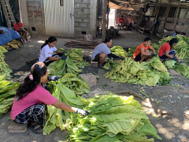 Various government agencies and experts stressed the need to address the smuggling of tobacco as it causes job losses, revenue decline, business shutdowns, and a decrease in local demand.