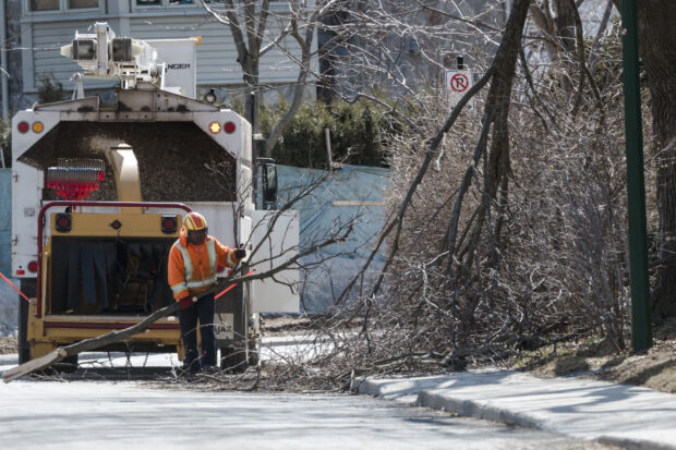 Workers throw pieces of fallen branches into a wood chipper on April 07, 2023, in Montreal, Canada after freezing rain hit parts of Quebec and Ontario on April 5. - Hydro Quebec estimated that close to a million people were out of power throughout the province of Quebec. The city opened warming centres throughout various boroughs and Hydro Quebec crews are hard at work to bring back power. They estimate that they were able to bring the lights back on to roughly a third of people by Thursday evening. (Photo by ANDREJ IVANOV / AFP)