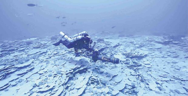 A diver explores the seabed of Benham Rise believed to be rich in marine resources and underwater minerals. STORY; Seabed mining: Lack of checks keeps PH blind to lasting harm